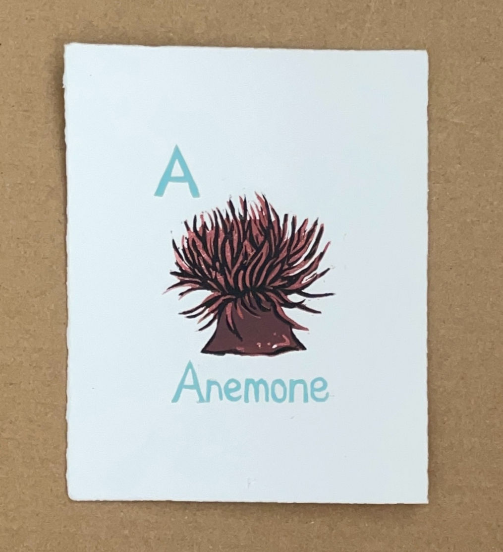 Anemone