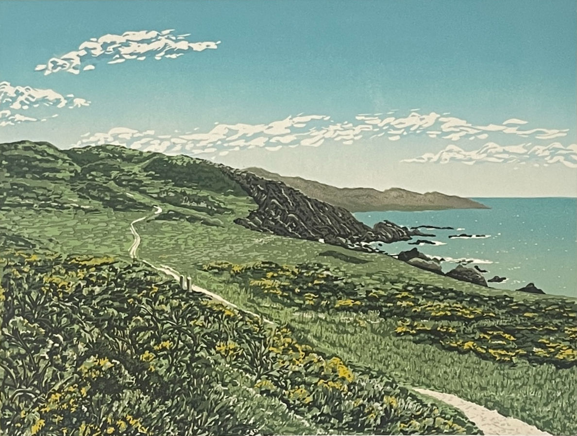 Furze Along the Coast Path