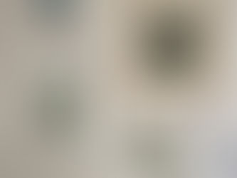 Galleries, demos and an illuminated carnival!