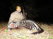 Night hunt South Africa