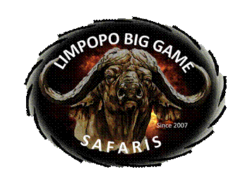 logo gif.gif