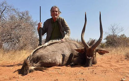 Nyala hunt South Africa 