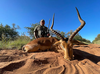 impala hunt lbg safaris 