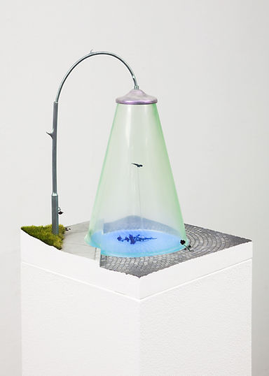 Christofer Degrér – serendipity, streetlight and roses (fig. b), 2025