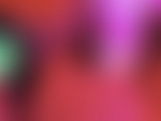 Torrroooo Bravoooo Gangggg