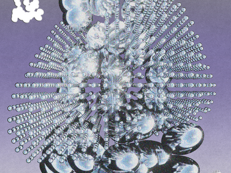 Welcome to extended reality with Xuan 