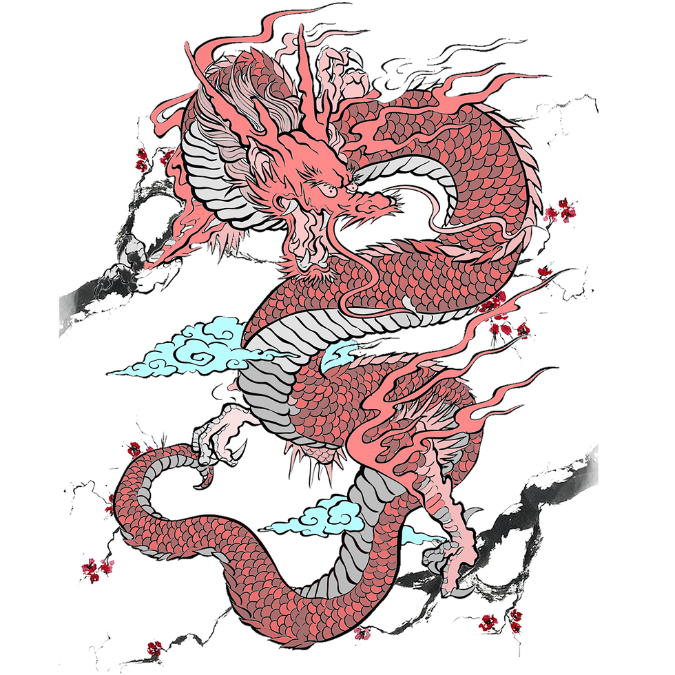 DRAGON2colour.png