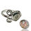 Thumbnail: Coral & Shell Interchangeable Button