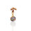 Thumbnail: Golden Shell Earrings