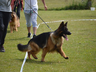 Régionale d'élevage à Douai 2022