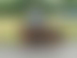 Confirmation réussie pour les 3 princesses