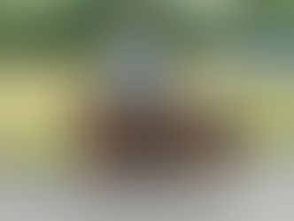 Confirmation réussie pour les 3 princesses