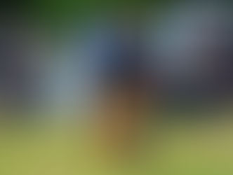 Pirlo du Val de Bern: 2eme à la régionale d'élevage de Maule 2022