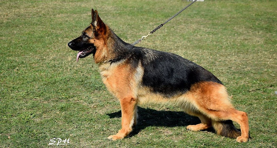 Mel du val de bern