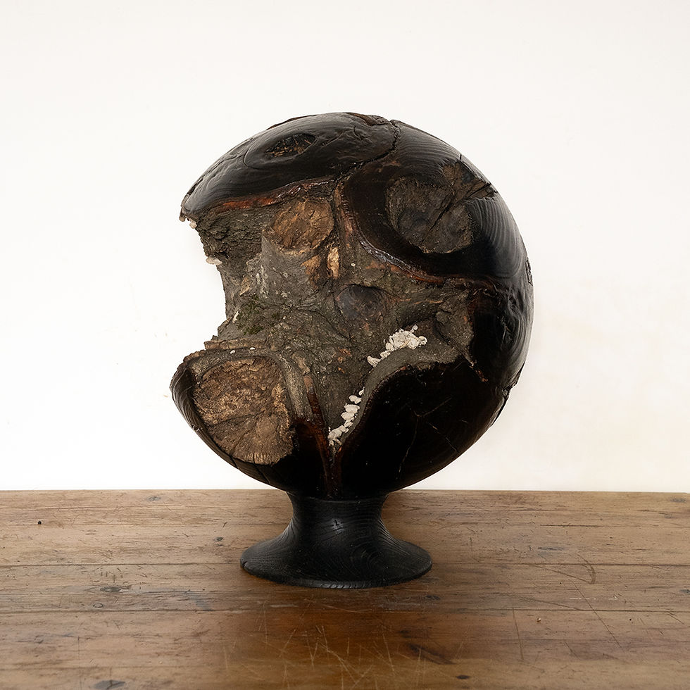 Thumbnail: Linden wood sphere with natural bark and white fungi, handcrafted, burned and brushed texture, polished with shellac, side