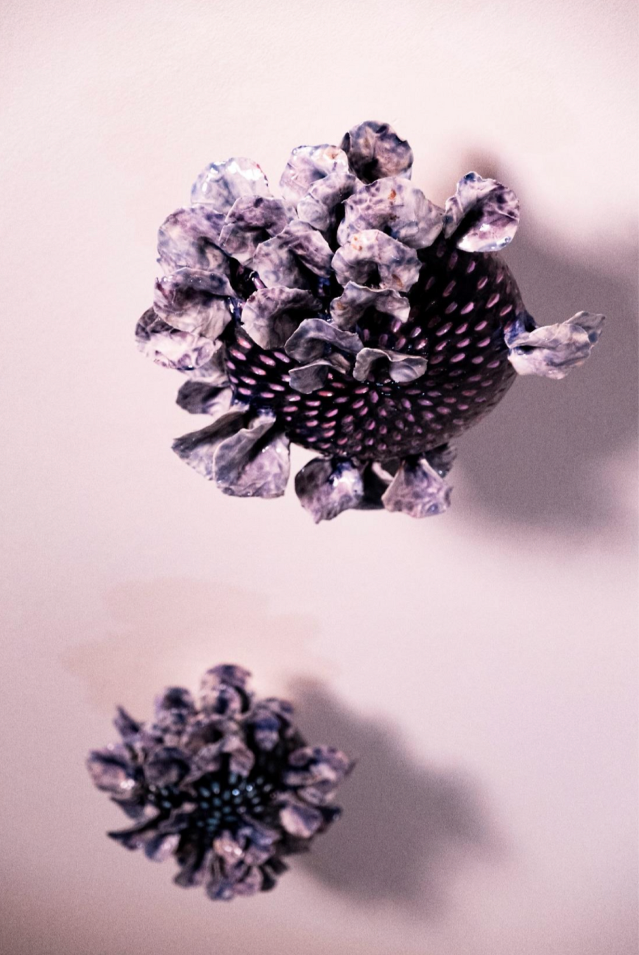 Francesca Romana Cicia, glazed ceramic sculpture, wall-mounted organic forms, textured violet and indigo surfaces with clustered, coral-like volumes.