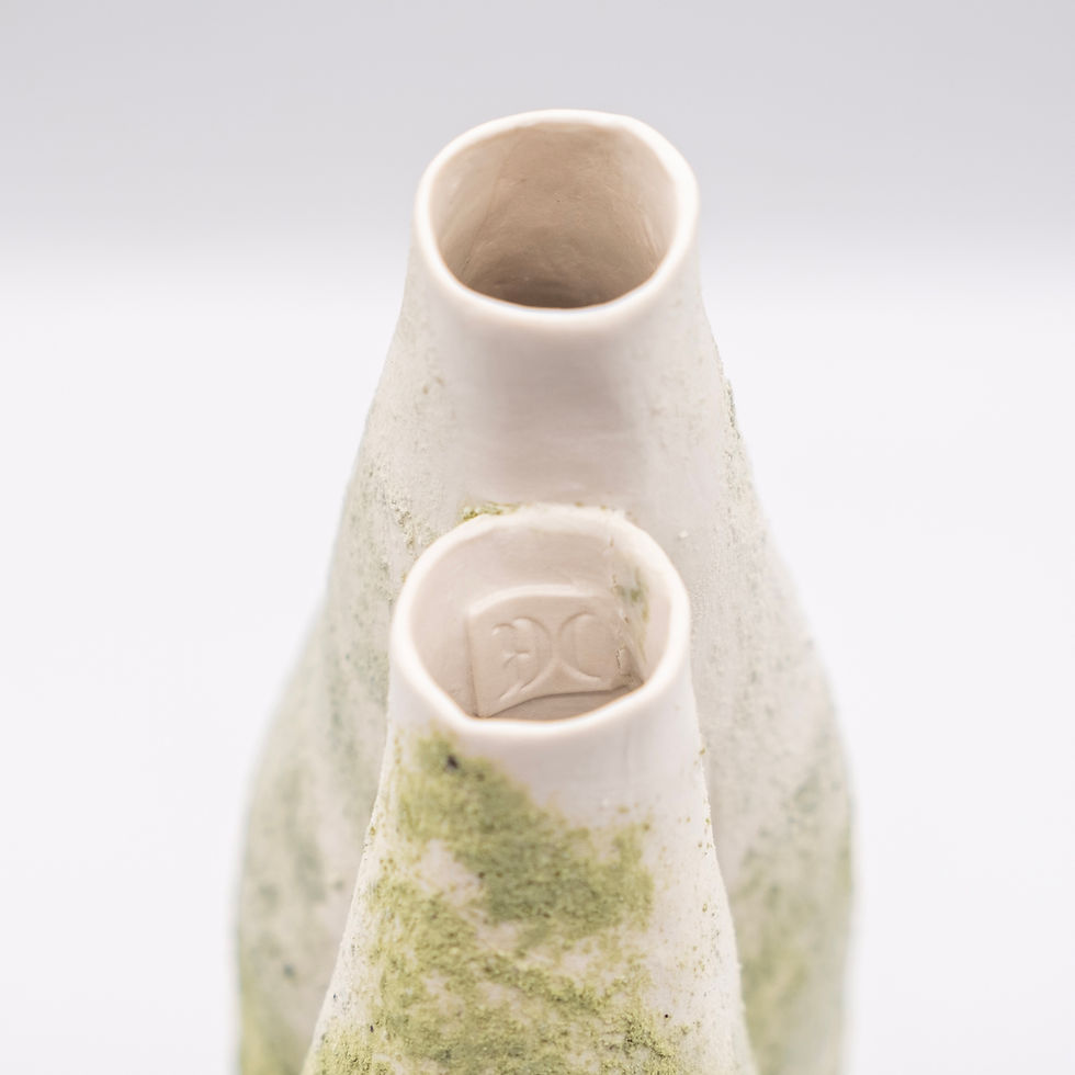 Thumbnail: Textured surface and open forms of Alice Reina’s LUNGs porcelain vases viewed from above.