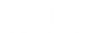 Asset 1.png