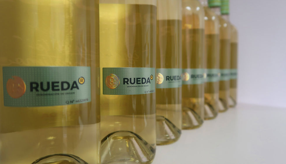 Viñedos de la D.O. Rueda
