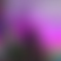 Instituto Español lanza iniciativa en apoyo a las madres