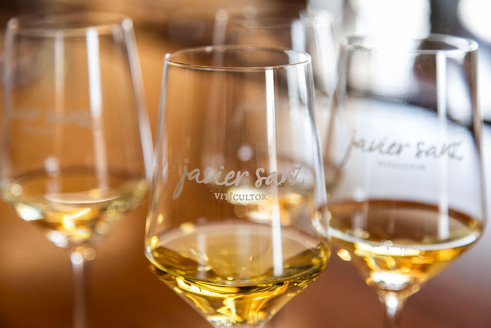 Javier Sanz Viticultor, vino, uvas, viñedo