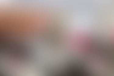 V. SUÁREZ FORTALECE ALIANZA EMPRESARIAL