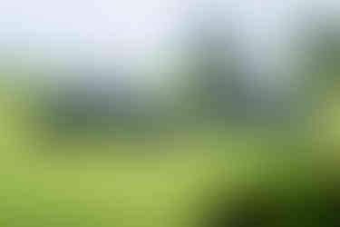 pickup toyota tacoma 2024 rediseñada desde cero in puerto rico magazine