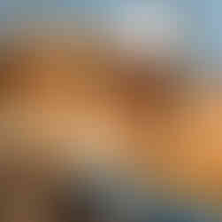 san juan marriott resort & stellaris casino cosecha sunday brunch