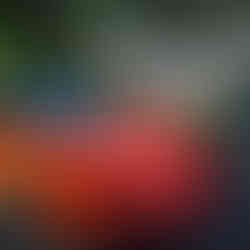 fudis gourmet truck festival