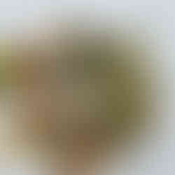 Tercer curso,filete de dorado en salsa menier con majado de viandas y vegetales salteados, ribera del duero