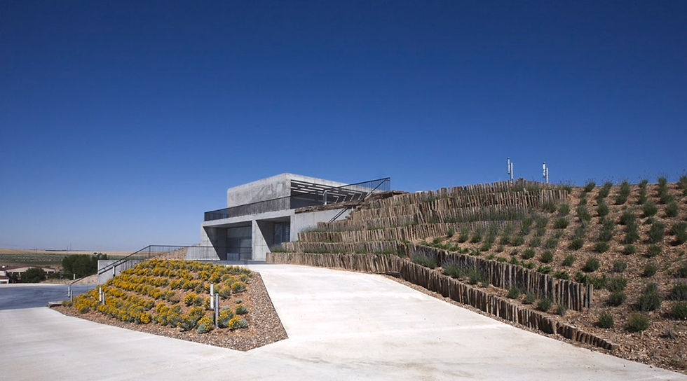 Montepedroso, Vino, Rueda, Arquitectura, Uvas, Viñedo, Bodega de vino, uvas, Valladolid