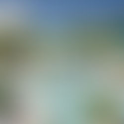 El San Juan Marriott Resort & Stellaris Casino anuncia una experiencia gastronómica