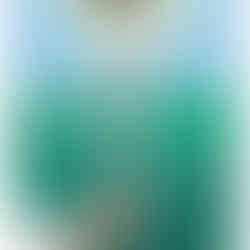 Ace of Swords, Leticia Ferrer Rivera