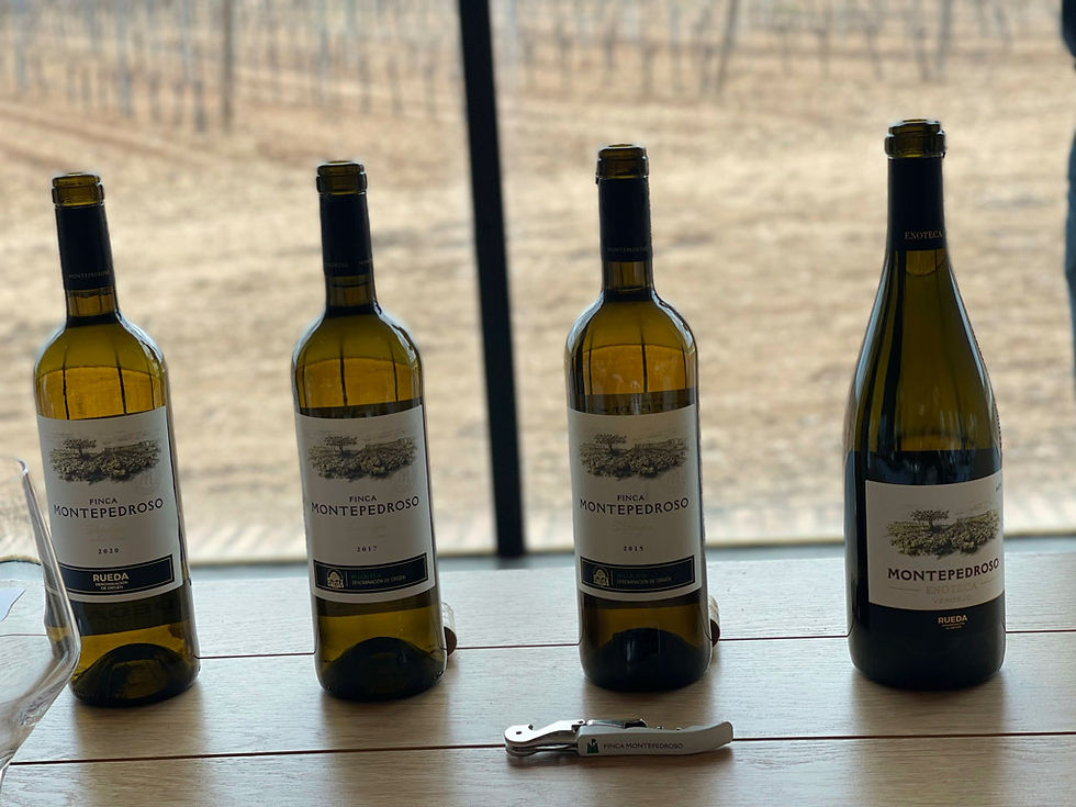 World Verdejo Day, D.O. Rueda