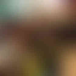 Rueda experiencia gastronómica