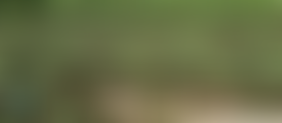 NUESTROS CENTROS DE SERVICIO DEL USDA EN EL CARIBE ESTÁN ABIERTOS PARA AYUDAR NUESTROS AGRICULTORES