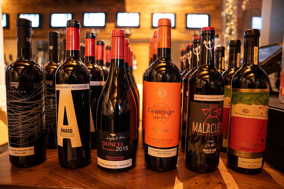Vinos Ribera del Duero presentados en Noche de Tapeo, Ribera del Duero, vuelven los eventos 2023, Diez Siglos Aniago 2017; Comenge Biberius 2021; Malacuera Crianza 2019; Lleiroso Colección de Familia Joan Miró 2015; y Ferratus Fusión 2017