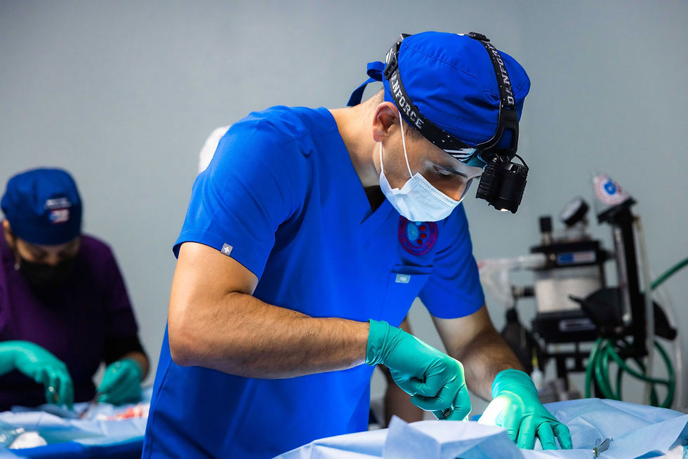 esterilización de mascotas, sauce dogz, Eladio Carrión, fundación rimas, Movimiento Social Pro Bienestar Animal