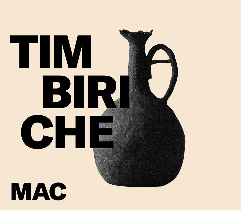 Feria de Arte y Diseño Timbiriche, edición Madres, Museo de Arte Contemporáneo de Puerto Rico, MAC