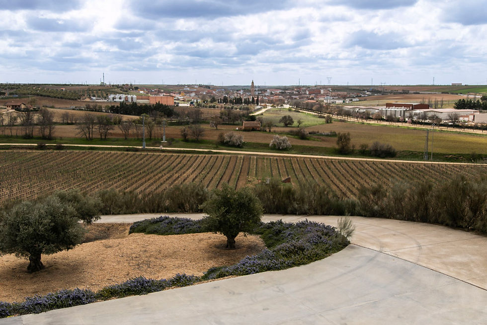 Vista al Pueblo de Rueda desde la bodega Montepedroso, Valladolid, España, viñedos, uvas, vinos