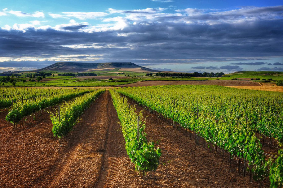 Ribera del Duero
