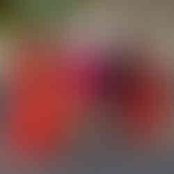 Día Mundial del Arte, Fairmont El San Juan Hotel, Sunset Sip & Paint, pinta el atardecer de puerto rico