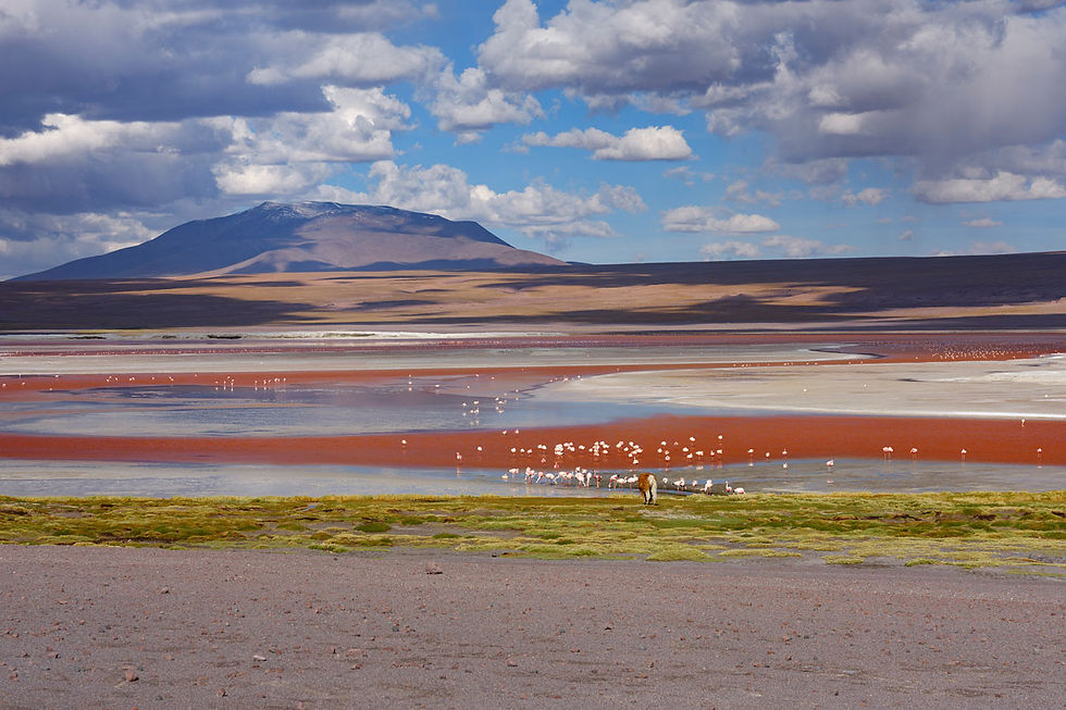 Desierto de Dali Bolivia