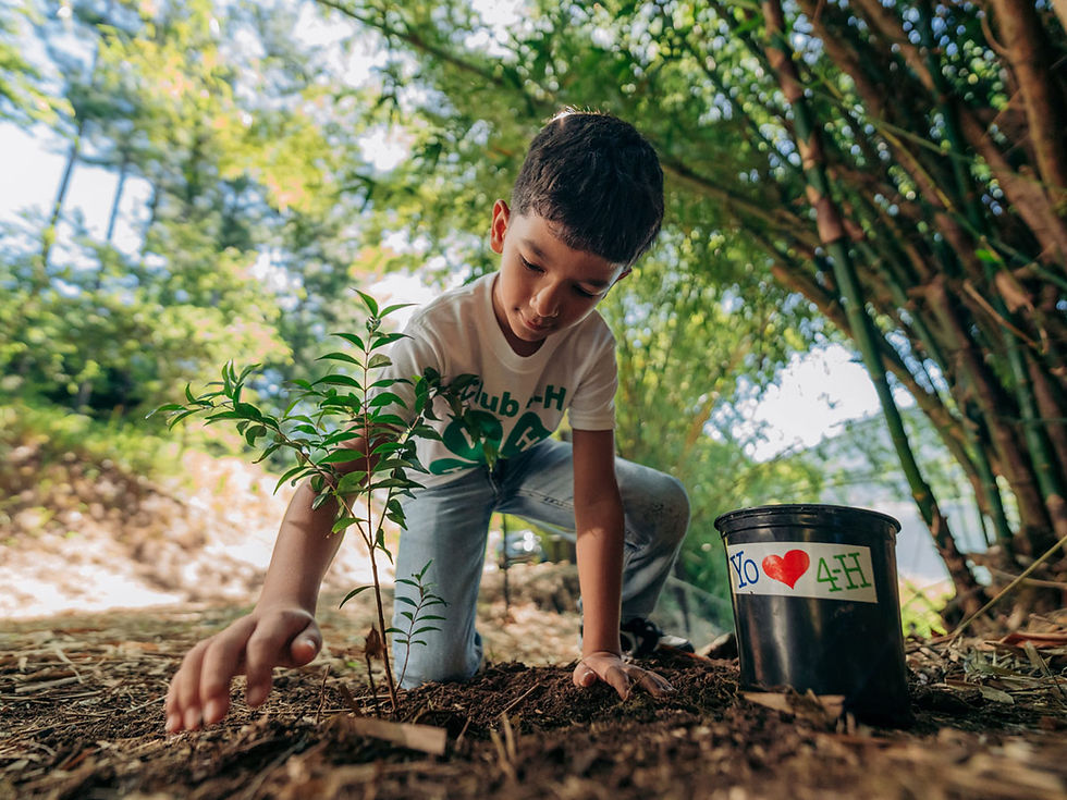 donativos ambientales ford