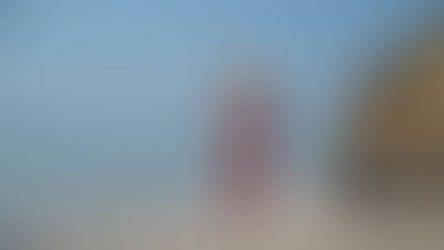 guia fin de año nuevo punta mita