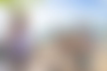 Regresa el BVI Food Fȇte con un calendario de actividades culinarias a través del año