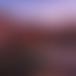 Astroturismo: el cielo y el desierto como experiencias de lujo