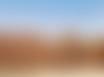 sabores conscientes valle de guadalupe