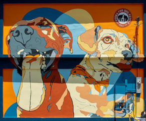 Tito’s Handmade Vodka refuerza su compromiso con los albergues de animales en Puerto Rico