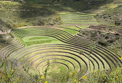Alma Nativa LATAM es una tour operadora boutique especializada en viajes auténticos por Latinoamérica. Diseñamos itinerarios cuidadosamente seleccionados que combinan naturaleza, cultura, historia y experiencias exclusivas junto a las comunidades locales. Trabajamos con grupos reducidos, atención personalizada y guías expertos para ofrecer viajes únicos, sostenibles e inolvidables, pensados para viajeros que desean descubrir la verdadera esencia de cada destino.